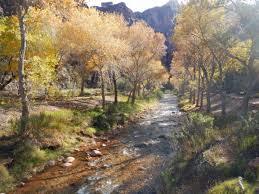 Bright Angel Creek